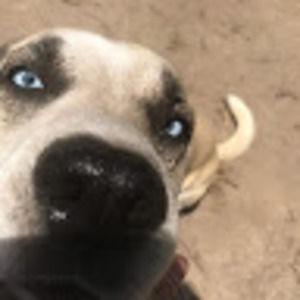 Meet your Posher, Mallory